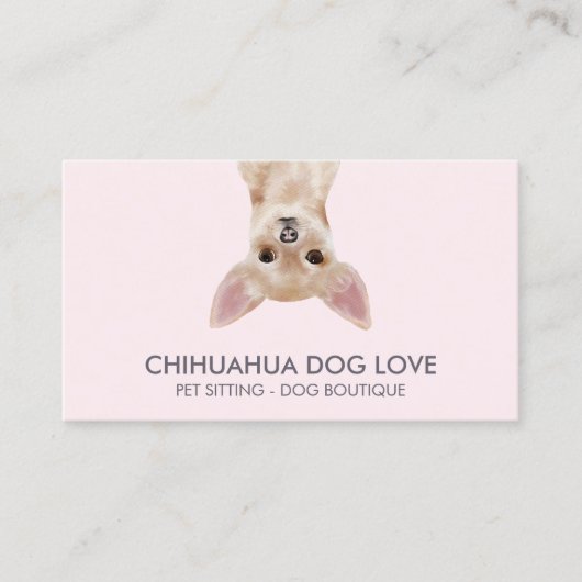 Chihuahua Dog Visitekaartje (Voorkant)