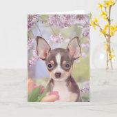 Chihuahua Dog wenskaart Kaart (Gele Bloem)
