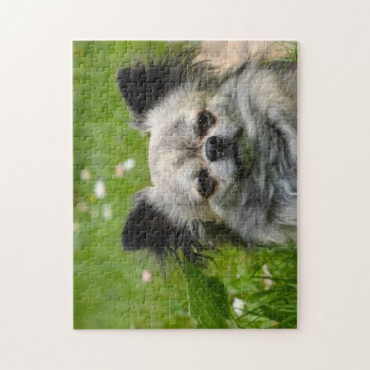 Chihuahua Dogs. Legpuzzel (Verticaal)