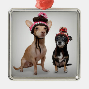 Chihuahua Dogs met foto van Petten Metalen Ornament