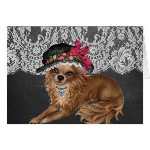 Chihuahua Dogs Wearing Petten