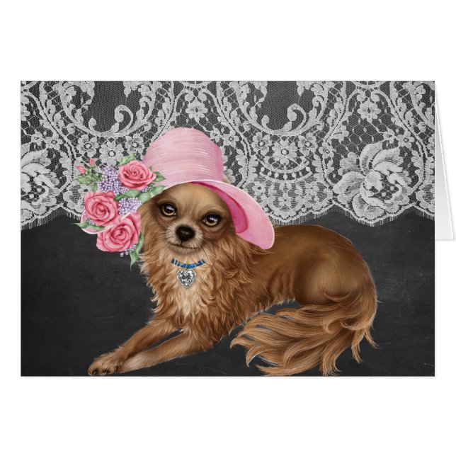 Chihuahua Dogs Wearing Petten (Voorkant Horizontaal)