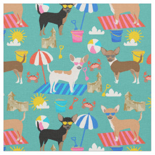 Chihuahua dogs zomerstrand stof