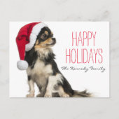 Chihuahua draagt een kerst pet feestdagenkaart (Voorkant)