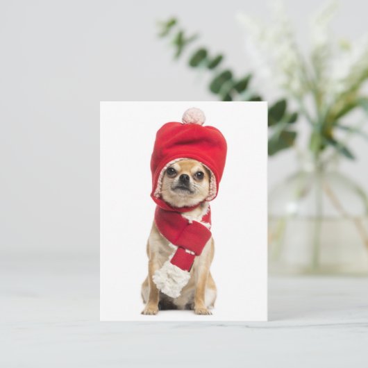 Chihuahua draagt Pet en sjaal Feestdagenkaart (Staand voorkant)