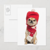 Chihuahua draagt Pet en sjaal Feestdagenkaart (Voorkant / Achterkant)