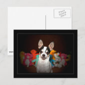 Chihuahua en speelgoed briefkaart (Voorkant / Achterkant)
