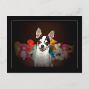 Chihuahua en speelgoed briefkaart