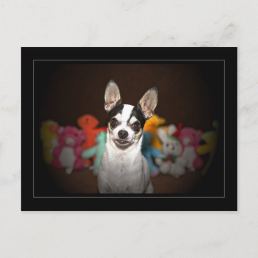 Chihuahua en speelgoed briefkaart (Voorkant)
