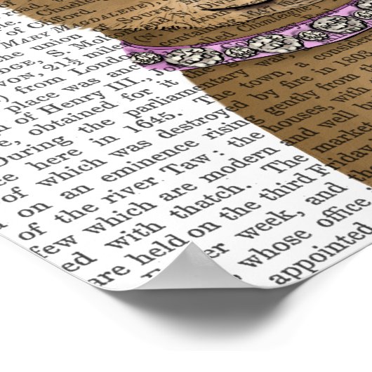 Chihuahua en Tiara Poster (Hoek)