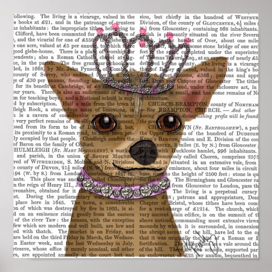 Chihuahua en Tiara Poster (Voorkant)