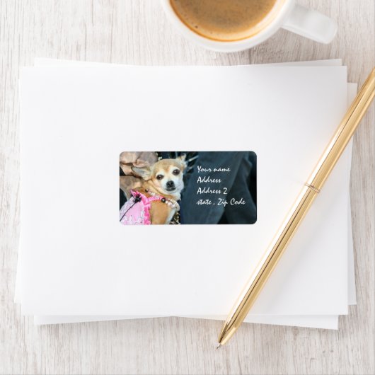 Chihuahua Etiket (Insitu)