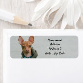 Chihuahua Etiket (Insitu)