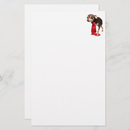 Chihuahua Executive Briefpapier (Voorkant / Achterkant)