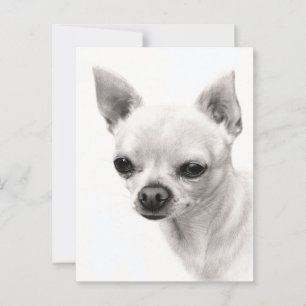 Chihuahua Face Study Hand geschilderd kunstwerk Briefkaart