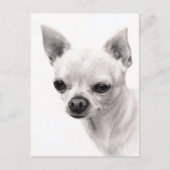 Chihuahua Face Study Hand geschilderd kunstwerk Briefkaart (Voorkant)