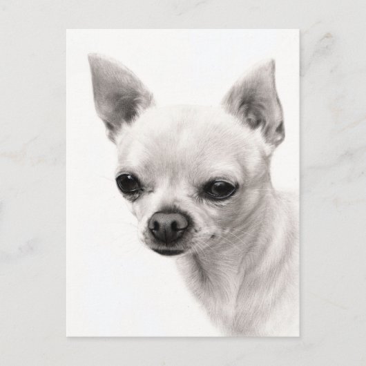 Chihuahua Face Study Hand geschilderd kunstwerk Briefkaart (Voorkant)