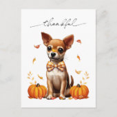 Chihuahua Fall Thankful Thanksgiving Greeting Card Briefkaart (Voorkant)