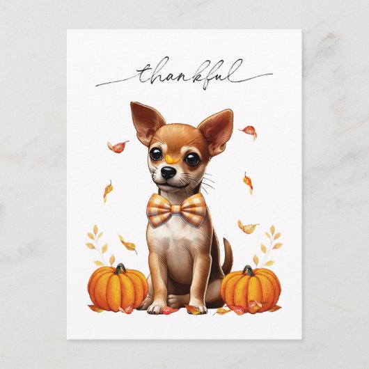 Chihuahua Fall Thankful Thanksgiving Greeting Card Briefkaart (Voorkant)