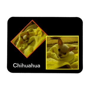 Chihuahua Flexible Photo Magnet Magneet