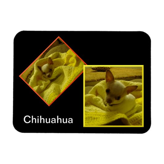 Chihuahua Flexible Photo Magnet Magneet (Horizontaal)