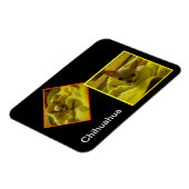 Chihuahua Flexible Photo Magnet Magneet (Linkerzijde)