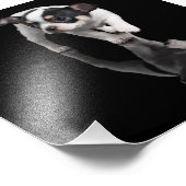 Chihuahua Foto Afdruk (Hoek)