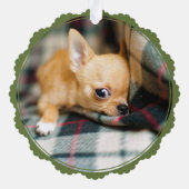 Chihuahua Foto Kerst Papier Ornament Kaart (Achterkant)