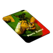 Chihuahua fotomagneet magneet (Rechterzijde)