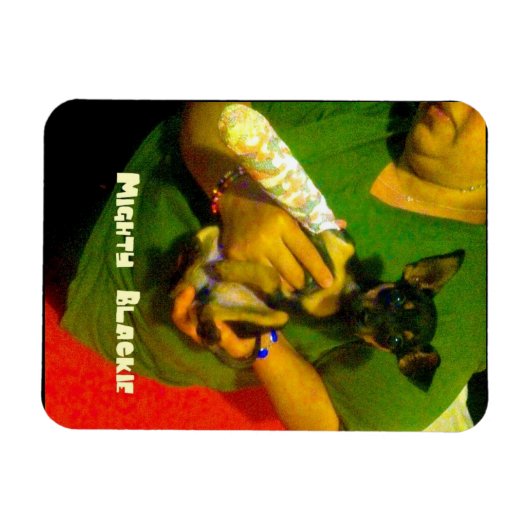 Chihuahua fotomagneet magneet (Horizontaal)