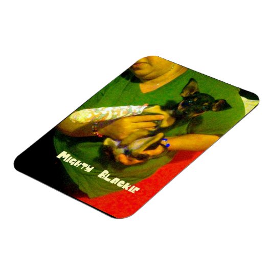 Chihuahua fotomagneet magneet (Linkerzijde)