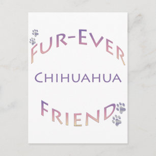 Chihuahua Furever Briefkaart