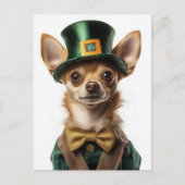 Chihuahua gekleed Leprechaun St. Patrick's Day Briefkaart (Voorkant)