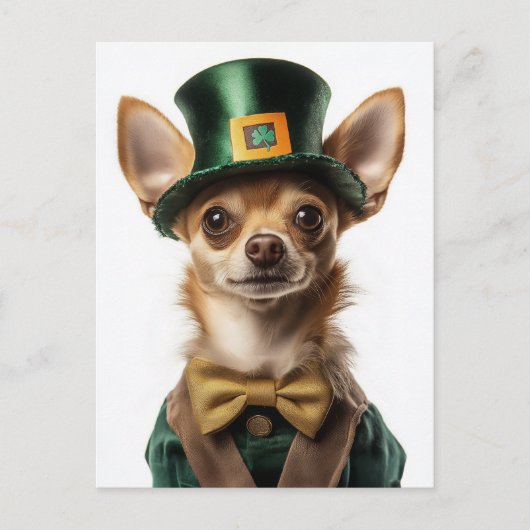 Chihuahua gekleed Leprechaun St. Patrick's Day Briefkaart (Voorkant)