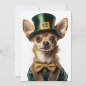 Chihuahua gekleed Leprechaun St. Patrick's Day Kaart (Voorkant)