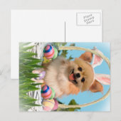 Chihuahua Gelukkige Paasgeschenken Feestdagenkaart (Voorkant / Achterkant)