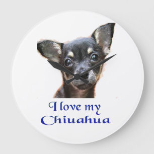 Chihuahua giften grote klok