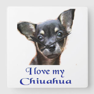 Chihuahua giften vierkante klok