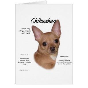 Chihuahua (glad) Geschiedenisontwerp