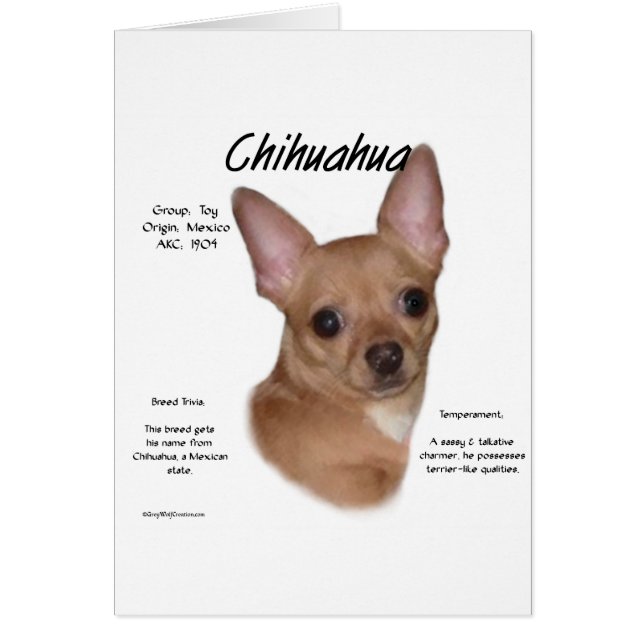 Chihuahua (glad) Geschiedenisontwerp (Voorkant)