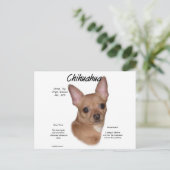 Chihuahua (glad) Geschiedenisontwerp Briefkaart (Staand voorkant)