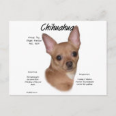 Chihuahua (glad) Geschiedenisontwerp Briefkaart (Voorkant)