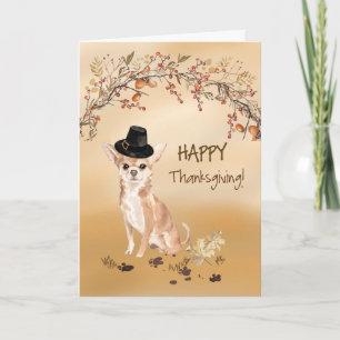 Chihuahua Grappige Pilgrim Hoed Thanksgiving Kaart