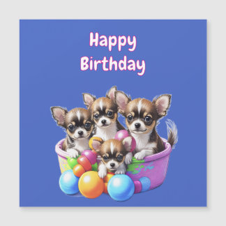 Chihuahua grappige Puppies