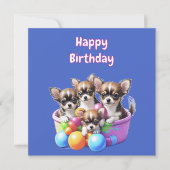 Chihuahua grappige Puppies (Voorkant)