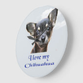 Chihuahua Grote Klok (Hoek)