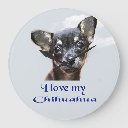 Chihuahua Grote Klok (Voorkant)