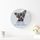 Chihuahua Grote Klok (Huis)