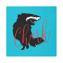 Chihuahua + haai = haai