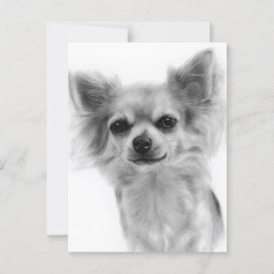 Chihuahua Hand geschilderde hond kunstwerk Briefkaart